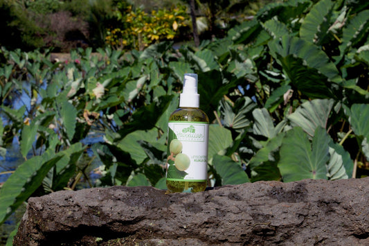 a bottle of kukui oil on a rock in a field of large taro leaves