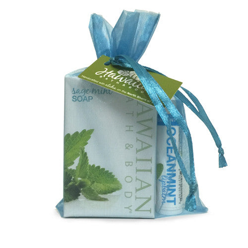 Natural Lip Balm & Bar Soap Gift Set - Hawaiian Bath & Body®