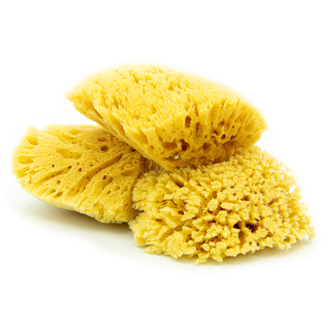 Natural Sea Sponge 4" - Hawaiian Bath & Body®